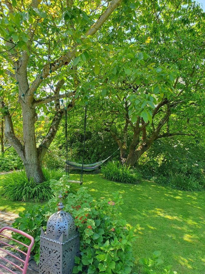 Maison En Pierre Dans Son Nid De Verdure Roz-Landrieux ภายนอก รูปภาพ