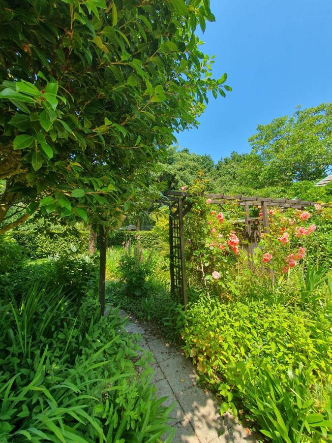 Maison En Pierre Dans Son Nid De Verdure Roz-Landrieux ภายนอก รูปภาพ