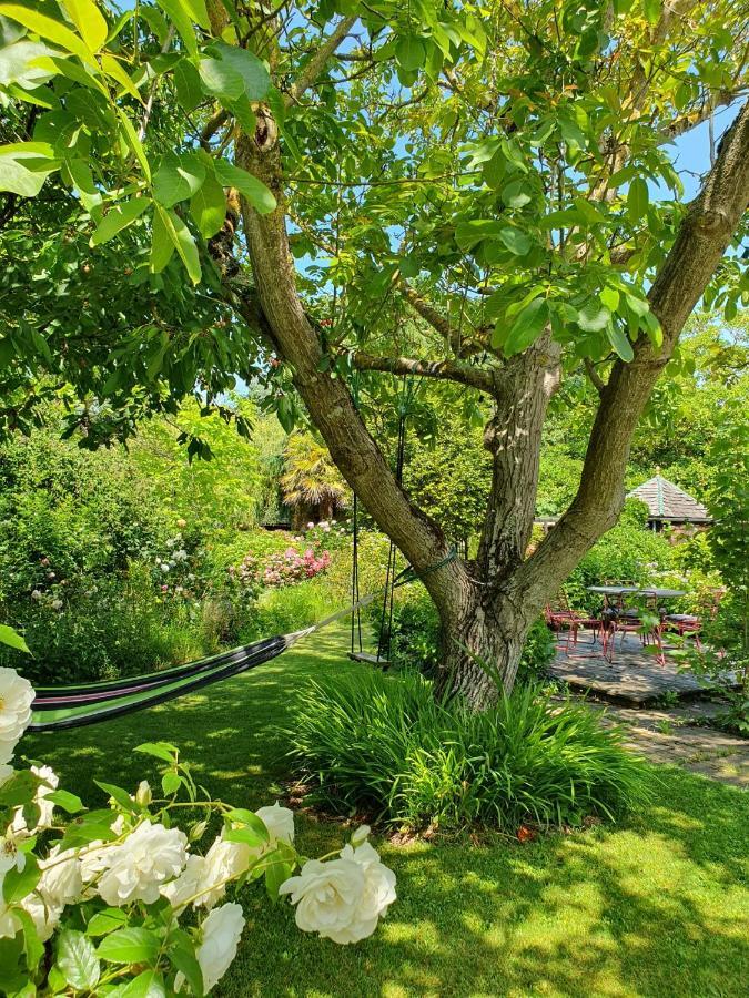 Maison En Pierre Dans Son Nid De Verdure Roz-Landrieux ภายนอก รูปภาพ